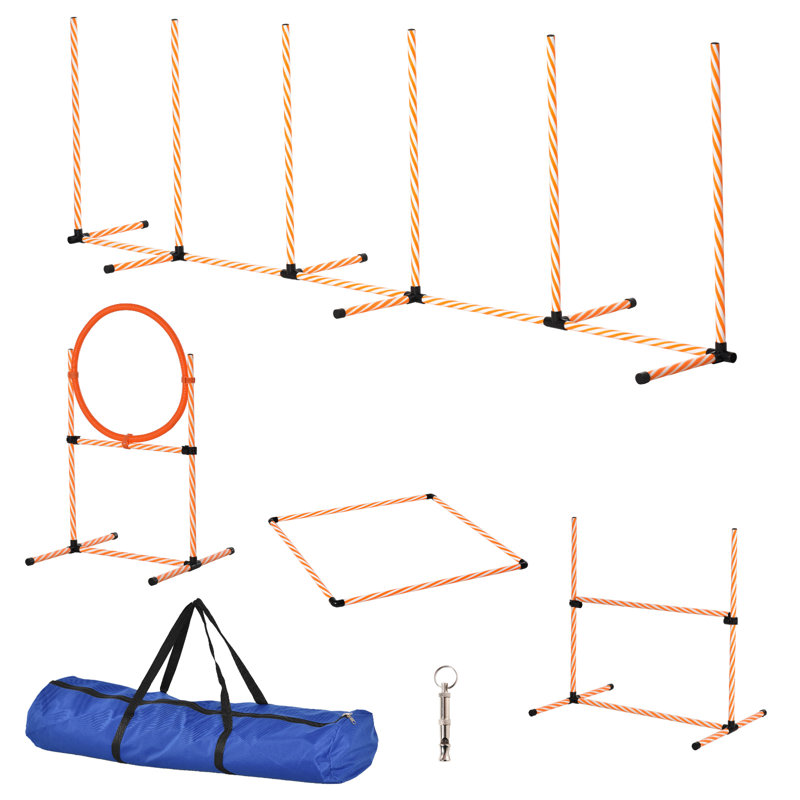 Ensemble d'obstacles pour chien
