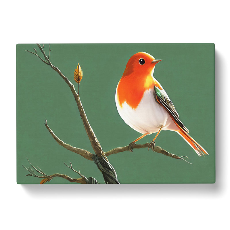 Elegant Robin Bird - Wrapped Canvas, 35cm H x 50cm W x 3cm D