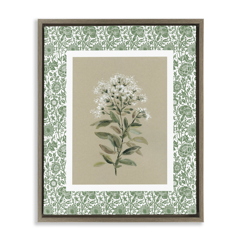 Plante sur cadre flottant botanique vert, design par Carol Robinson, H 31 po x l 25 po, Cadre flottant orme Montalcino