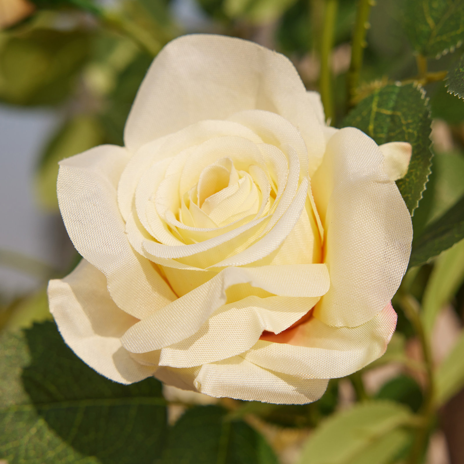 Ashwell UV Resistant Rose Tree, Yellow, 36 (in) x 20 (in)