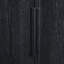 Armoire avec plusieurs fonctions de rangement-1906580662