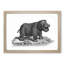 Hippopotamus in Black and White by George Shaw - Picture Frame Drawing Print-55580120-55580122