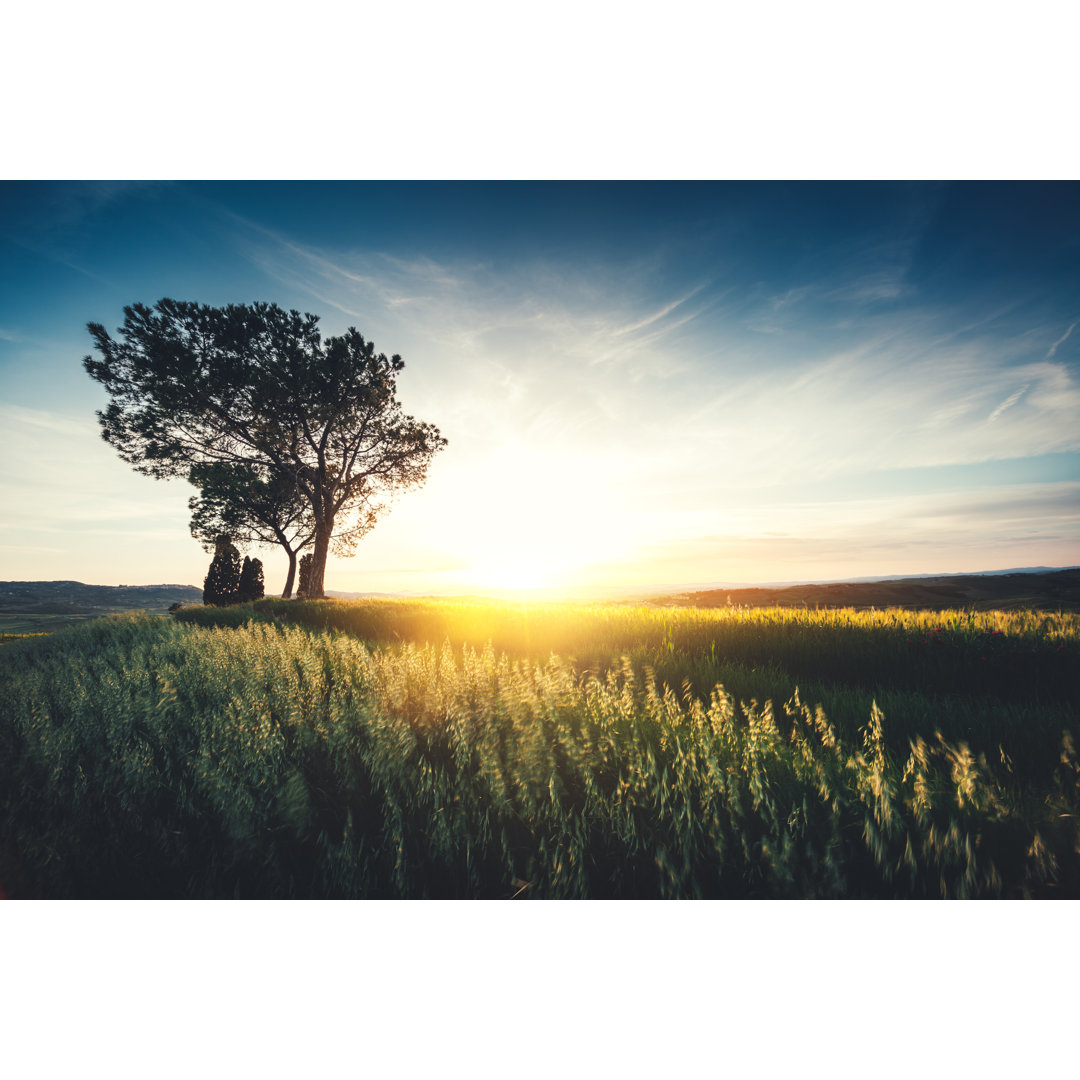 Sonnenuntergang im Val D'orcia von Borchee - Kunstdrucke auf Leinwand ohne Rahmen