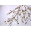 Luminaire suspendu Light Branch Bloom Vivant Citrine Beats-91857731-91857738-131066561