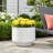 Canella Handmade Concrete Pot Planter-698404277