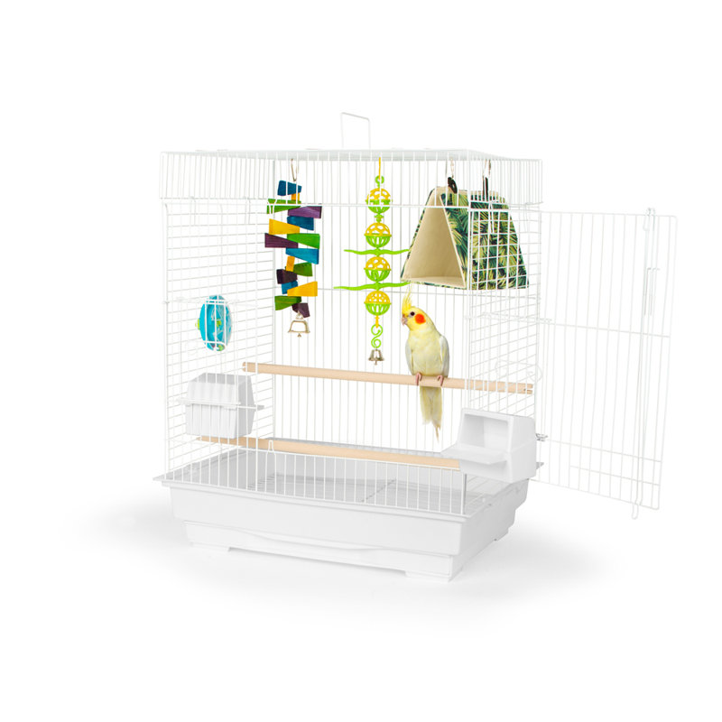 Ensemble de cage de divertissement