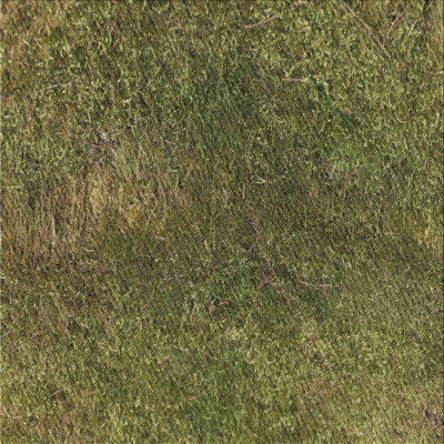 Indoor Rug