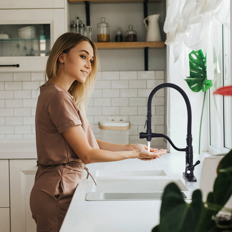 Aleasha Kitchen Faucet, Matte Black