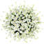 Arrangement en panier