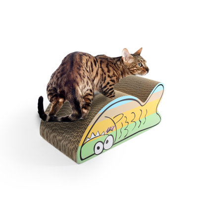 Grattoir Catoon-Belly