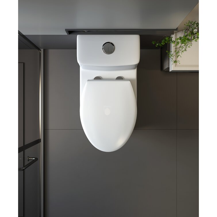 Dual-Flush Elongated One-Piece Black Toilet (Seat Included)