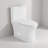 1.1/1.6 GPF Dual-Flush Elongated One-Piece Toilet With 15 3/4In Comfort Seat Height（(Soft Close Seat Included)）