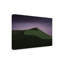 Art sur toile, Bolologia Binopan Guan, Criaea Sup-93222094