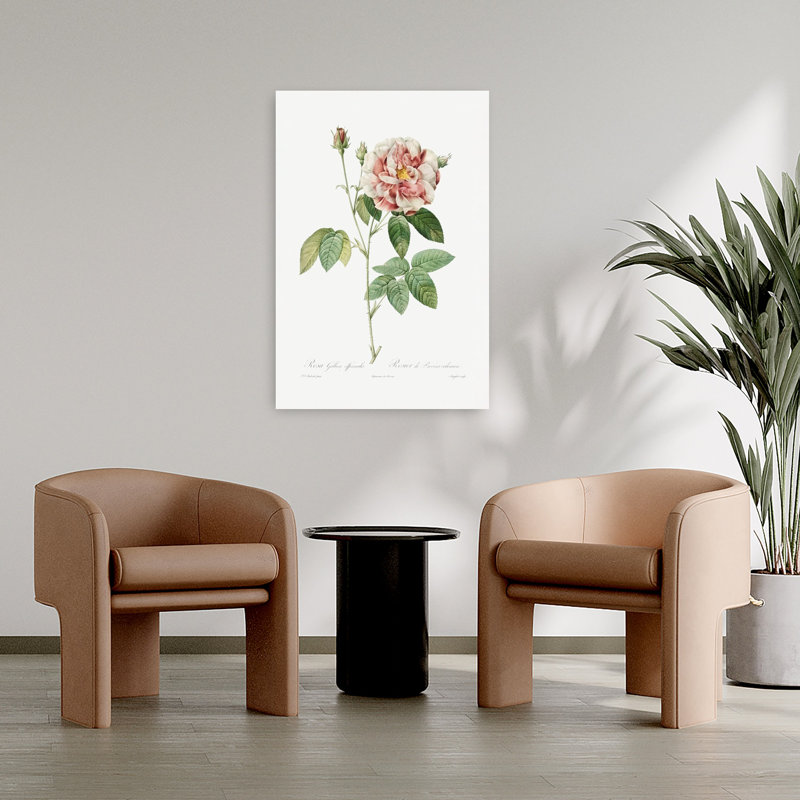 Rosa Gallica, art abstrait rétro rétro avec paysage floral, H 36 po x l 24 po