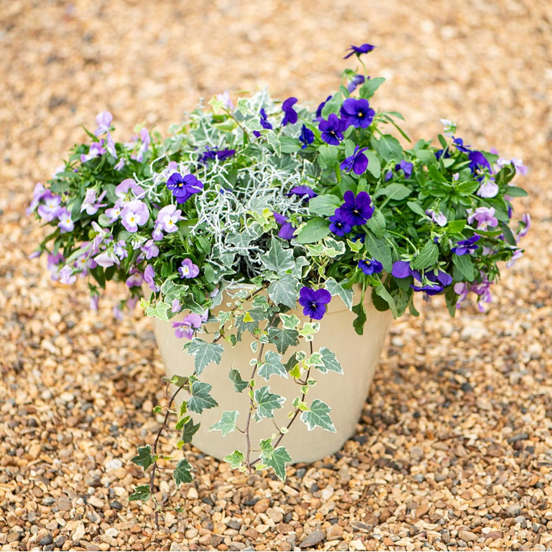 Cateena Pot Planter, Stone