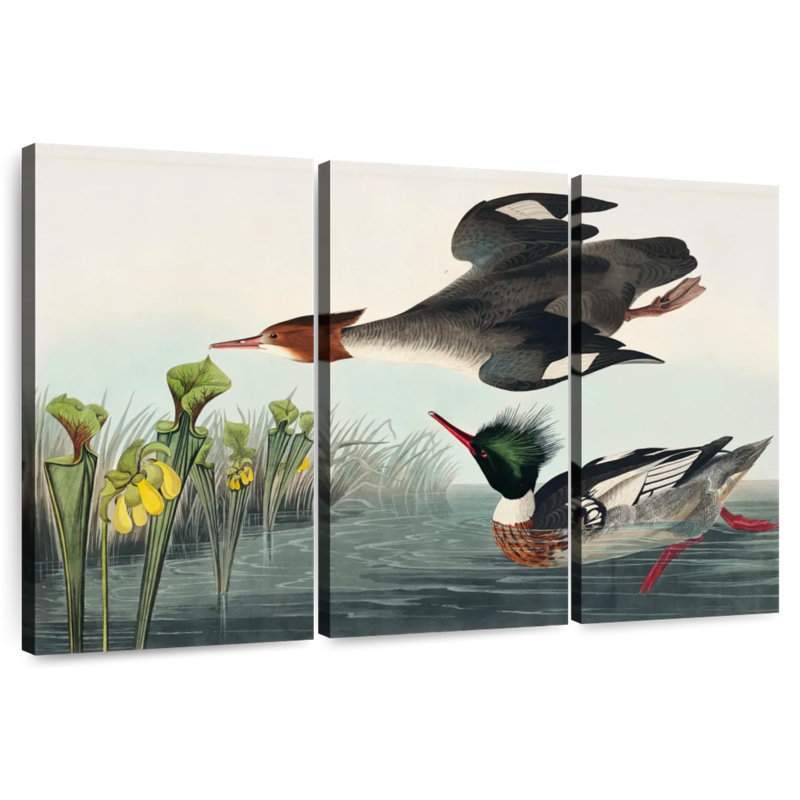 Brampt Red Breasted Merganser, 48" H x 74" W