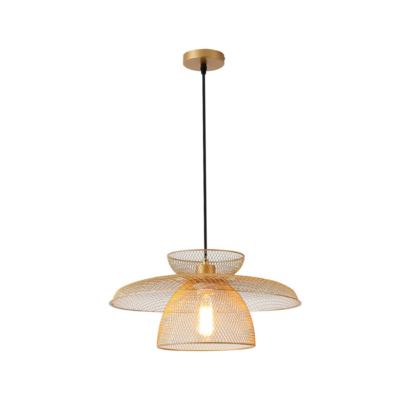 Rollegem 1-Light Unique Dome Pendant, Gold