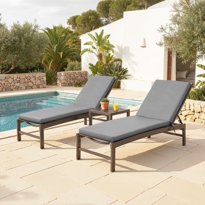 21‘’ in W X 72‘’ in D X 2.75‘’ in H Outdoor Chaise Lounge Cushion Set (Set of 2)
