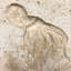 6" x 6" SeaStone Cement Squid Fossil Impression Bevel Edge Medallion Tile in Buff