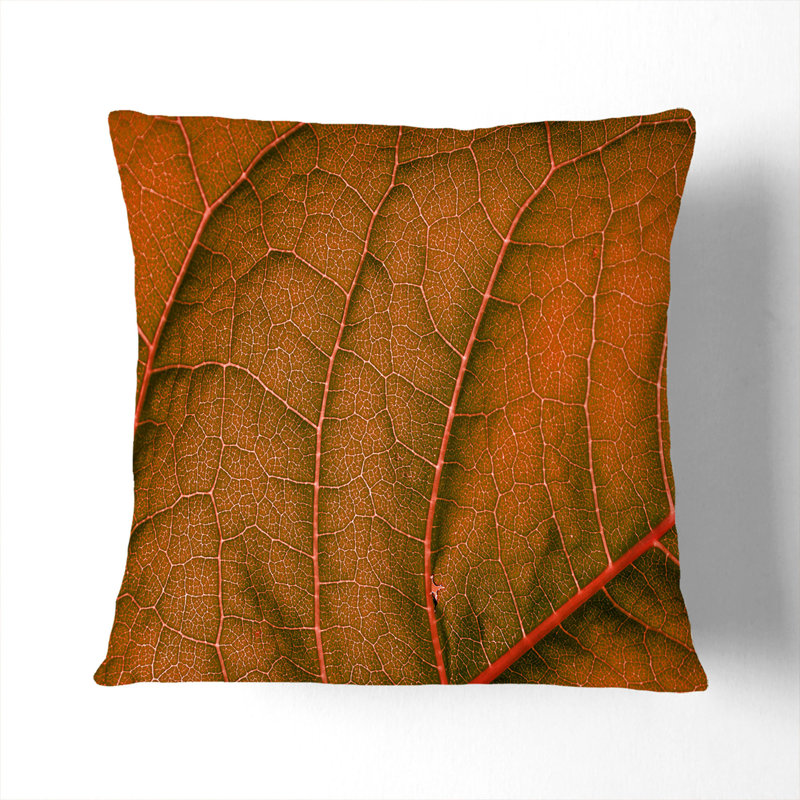Square Throw Cushion, Black, 55cm H x 55cm W x 20cm D