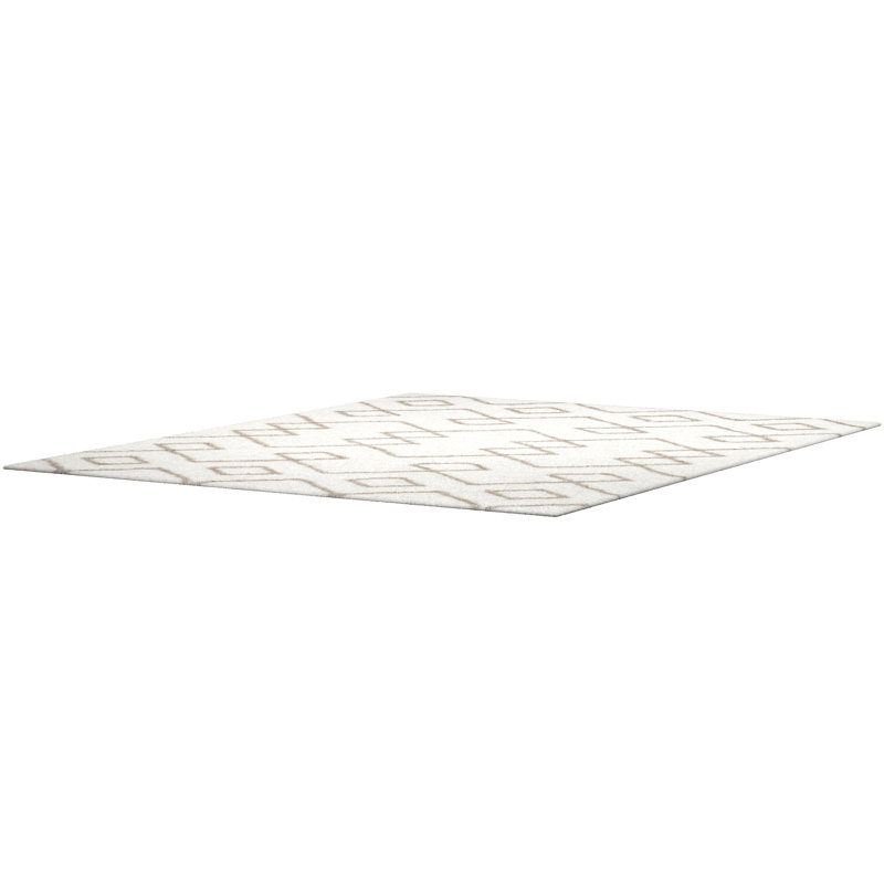 Tapis ivoire / argenté touffeté à la main Aderita, Rectangle 3 pi x 5 pi