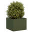Planter Box-1129984748-1129984743