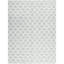 Moroccan Cotton Moroccan Area Rug