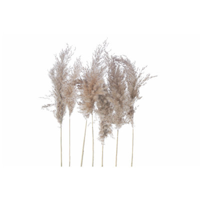 Ih Casadecor Pampas Arrangement