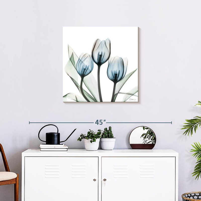 Tulipes Harnek Glacier II