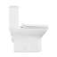 Carre One-Piece Square Toilet Dual-Flush 1.1/1.6 gpf-63681520