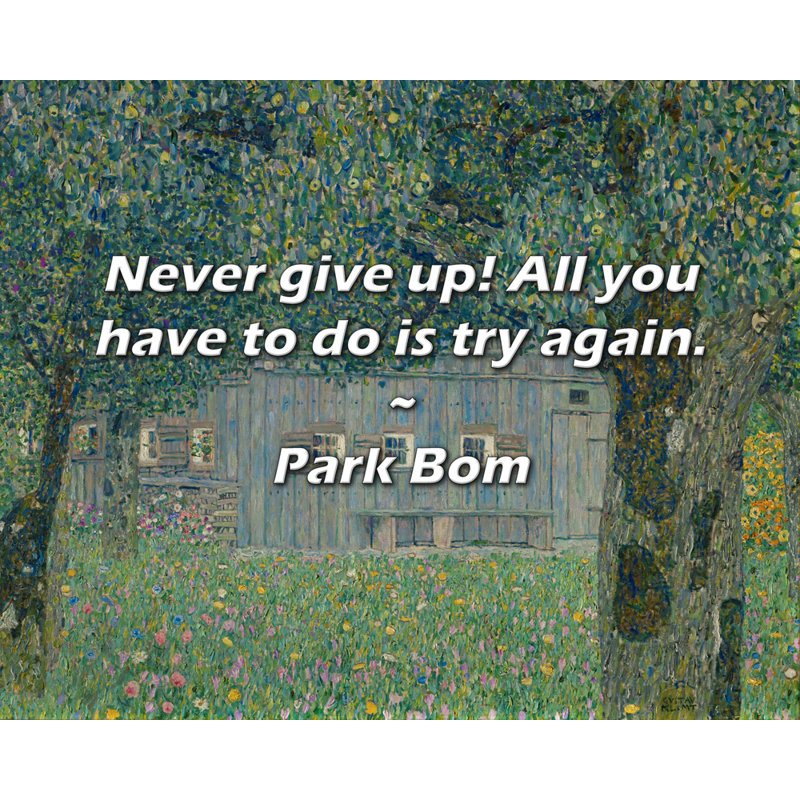 Artsy Quote "Never give up! All you have to do is try again." By Park Bom Gallery Wrapped Canvas