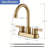 2-handle Bathroom Faucet