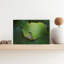 Curious Green Frog Abstract Contemporary Frog Landscape Nature Wall Art Print by Savas Sener - Print-2016528200