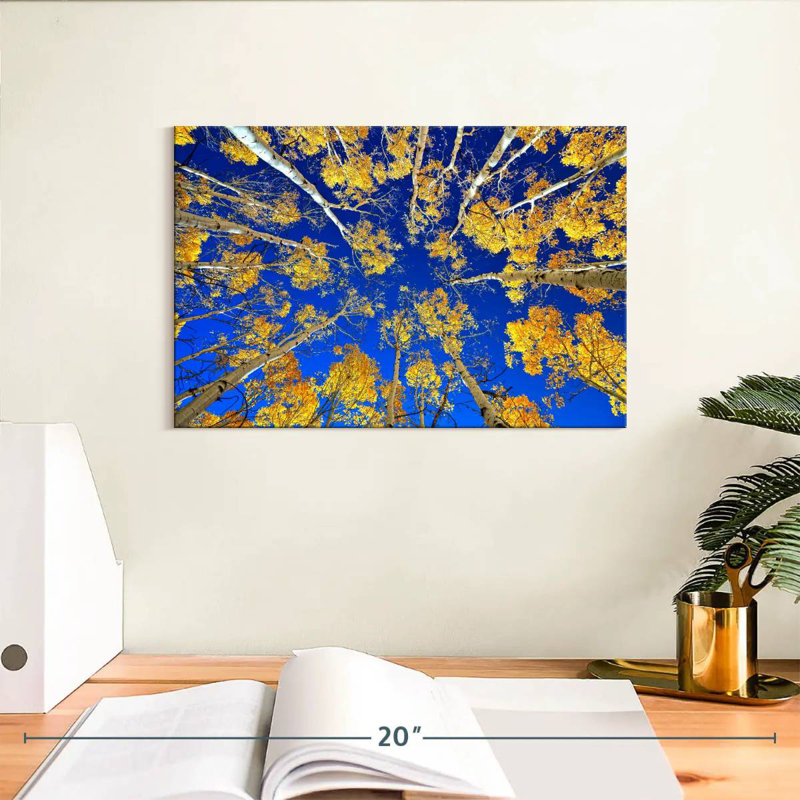 Under The Aspen Trees, 8" H x 12" W