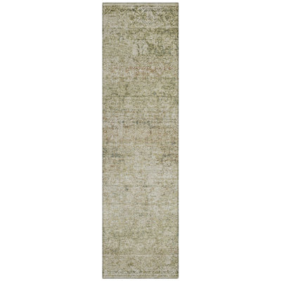 Machine Washable Indoor/Outdoor Xhevrie Sage Rug