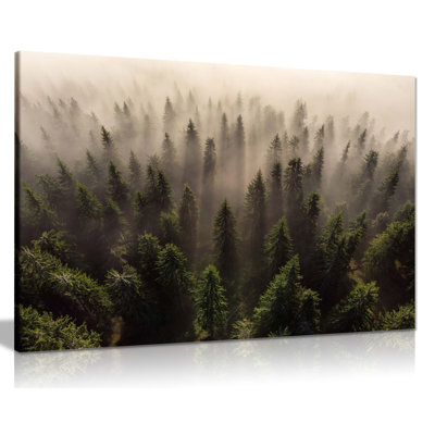 Misty Morning Forest Trees Aerial View 1 Piece Wrapped Canvas Wall Art