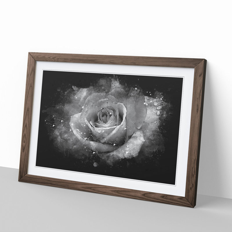 White Rose Flower - Picture Frame Graphic Art, Walnut Framed, 27cm H x 36cm W x 2cm D