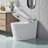 Modern Smart Toilet With Bidet Seat, Auto Open/Close, Foot Sensor, Warm Water & Dryer