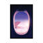 « travel the world »-impression Nicklas Gustafsson-35539880-72409075-72409076
