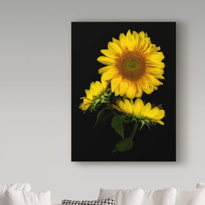 "Tournesol 3" par Dosta, impression sur toile tendue