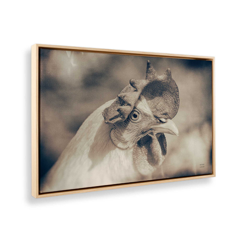 «Chicken in the Sun I Sepia» par Nathan Larson, reproduction d'art sur toile, H 32 po x l 48 po, Cadre flottant, Tanné