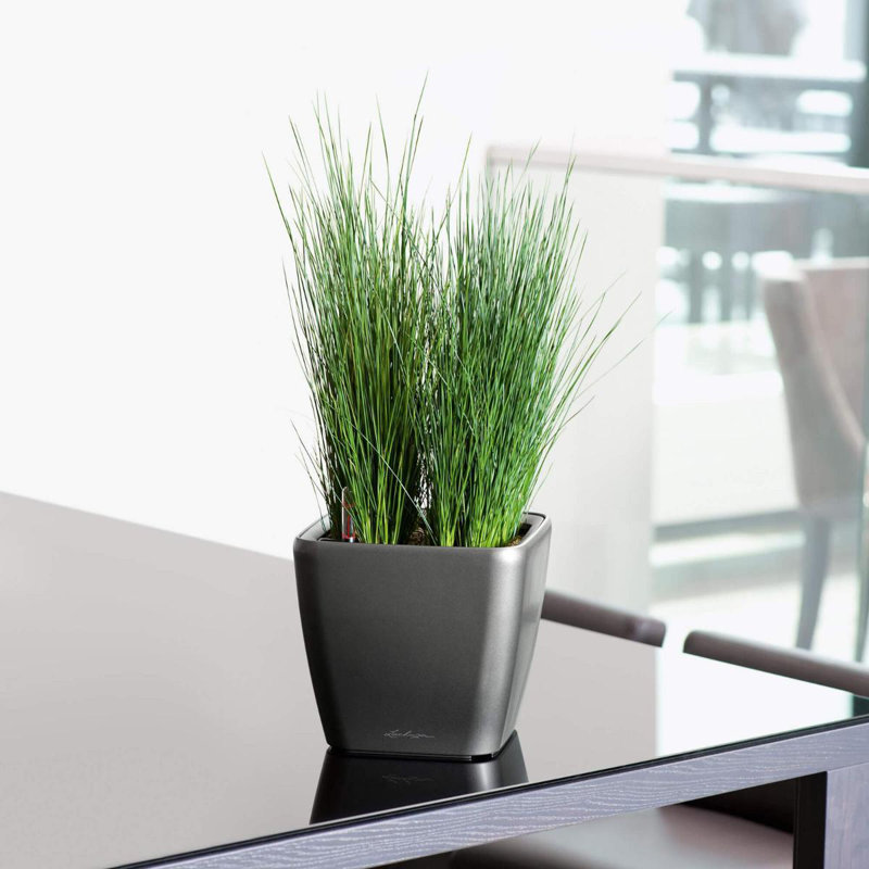 Quadro Premium Pot Planter, 20cm H x 21cm W x 21cm D, Charcoal Metallic
