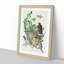 Brown-Winged Hawk by John James Audubon - Picture Frame Art Print-55513108-55513109