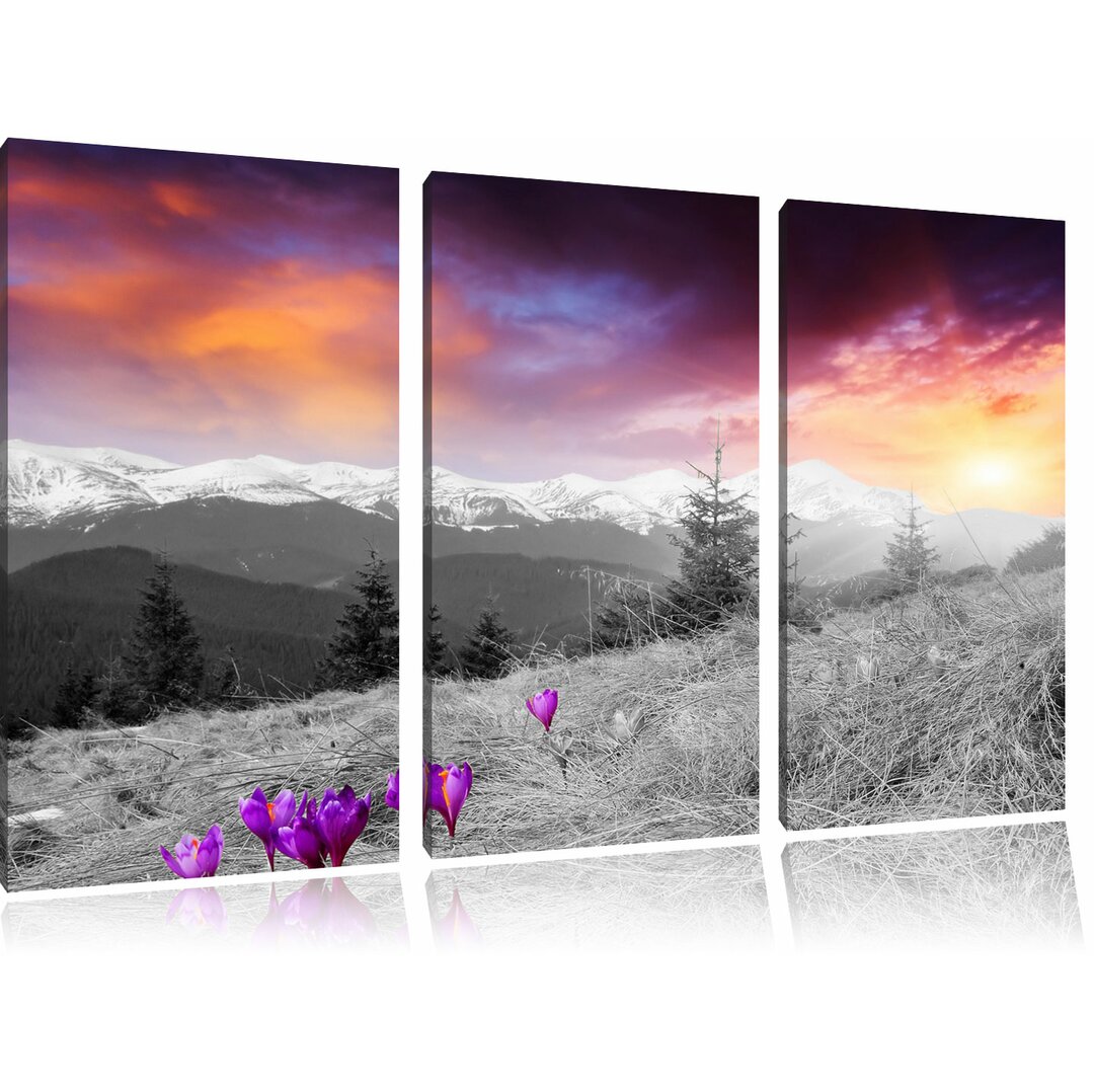 3-tlg. Leinwandbilder-Set Schöne Krokusse auf Alpenwiese, Kunstdruck 