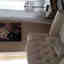 Customer photo 2 of 3