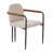 Denver Modern Dining Chairs With Iron Frame-475969753