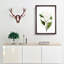 White Southern Magnolia Flower by Pierre-Joseph Redoute - Picture Frame Art Prints-55612675-55612677