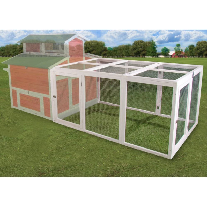 Delvin 18.63 Square Feet Chicken Run For Up To 2 Chickens