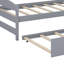 Lit plateforme avec lit gigogne-1707471724