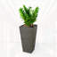 2-Pack Self-watering Planter